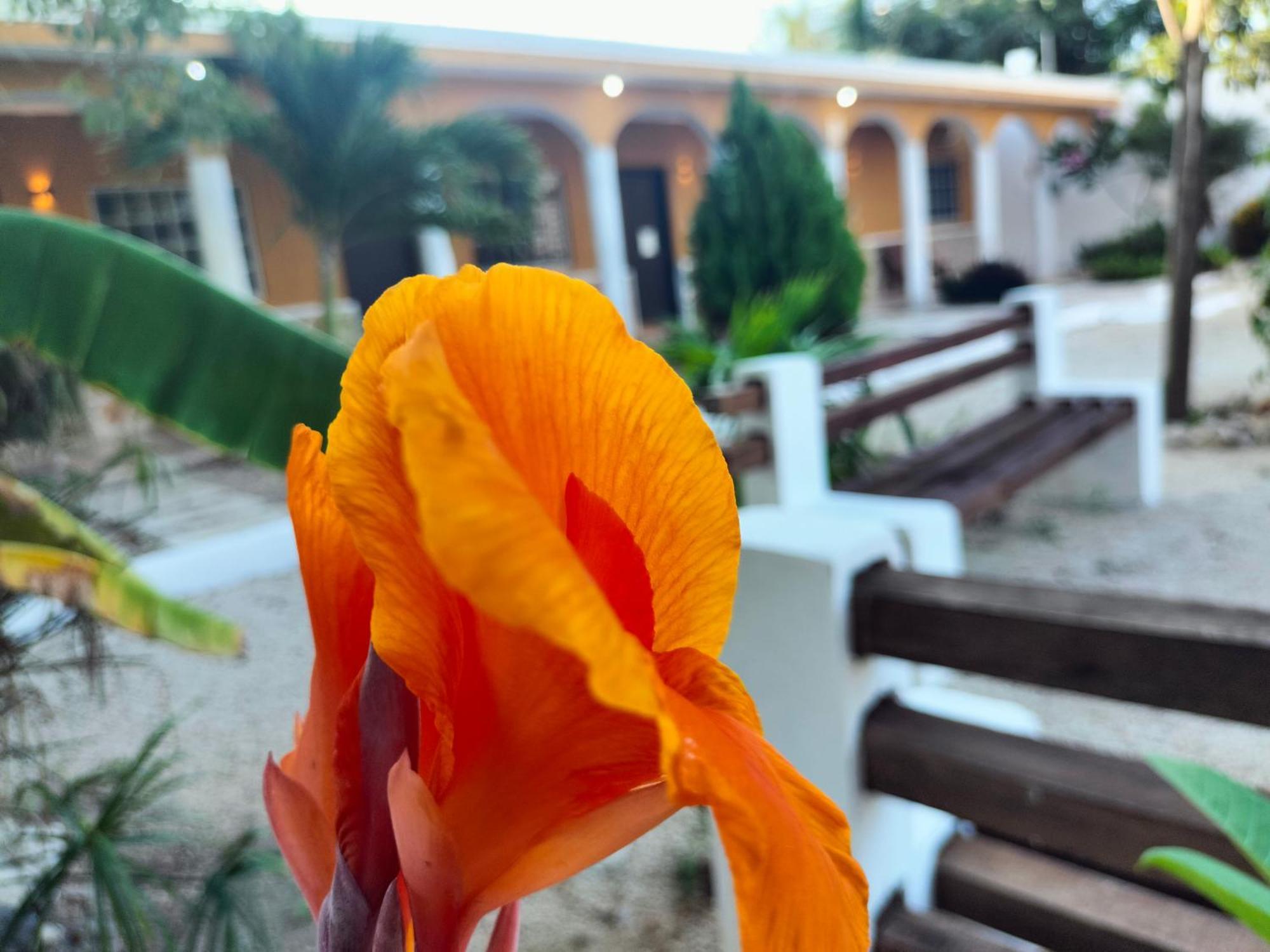 Villa Gabriela Celestun -Hotel & Restaurant Ngoại thất bức ảnh